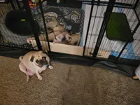 processed/ecefdc8a-d6ad-4aac-892c-bd1aa2cd44e6/facility/b4eeda90-f43c-41ed-b3d6-bdaf7f7aaabd