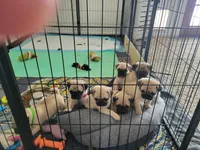 processed/ecefdc8a-d6ad-4aac-892c-bd1aa2cd44e6/facility/fe846b95-58db-4b7e-8678-0888d2046efd