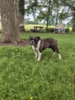 processed/ecfd02e7-e4ad-4f2e-8cc4-aa80f426cd73/listing/0948d227-e7b2-41d0-bc2f-6068c3b5eb46/1a3cbc81-0c02-434e-8673-3a231e1494f9