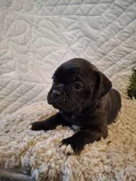 processed/ecfd02e7-e4ad-4f2e-8cc4-aa80f426cd73/listing/0948d227-e7b2-41d0-bc2f-6068c3b5eb46/bfeba35b-6cb6-4340-9c0a-938b4a1db0d5