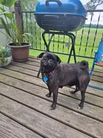 processed/ecfd02e7-e4ad-4f2e-8cc4-aa80f426cd73/listing/0948d227-e7b2-41d0-bc2f-6068c3b5eb46/c2f5ceb4-6688-48a3-906f-66d23a972a92