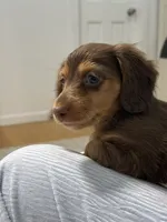 processed/ed06e5f1-4e23-443f-89bf-eda61a9a2884/listing/e785b9ec-932e-4c47-b65b-7918fdd21df9/0dba2a23-7862-4782-96d6-85c3b8790cfd