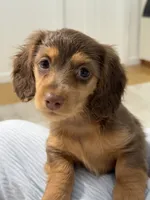 processed/ed06e5f1-4e23-443f-89bf-eda61a9a2884/listing/e785b9ec-932e-4c47-b65b-7918fdd21df9/121b88b4-0f34-418d-b6ae-3d571747aeb0