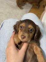 processed/ed06e5f1-4e23-443f-89bf-eda61a9a2884/listing/e785b9ec-932e-4c47-b65b-7918fdd21df9/357ea908-98a3-480c-85e4-c04859e3a58d