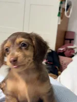 processed/ed06e5f1-4e23-443f-89bf-eda61a9a2884/listing/e785b9ec-932e-4c47-b65b-7918fdd21df9/5bc05527-a8bd-4e22-af46-113ecd0804d2