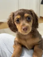 processed/ed06e5f1-4e23-443f-89bf-eda61a9a2884/listing/e785b9ec-932e-4c47-b65b-7918fdd21df9/ca333462-c0d6-4c8d-a057-efbca6fe2225