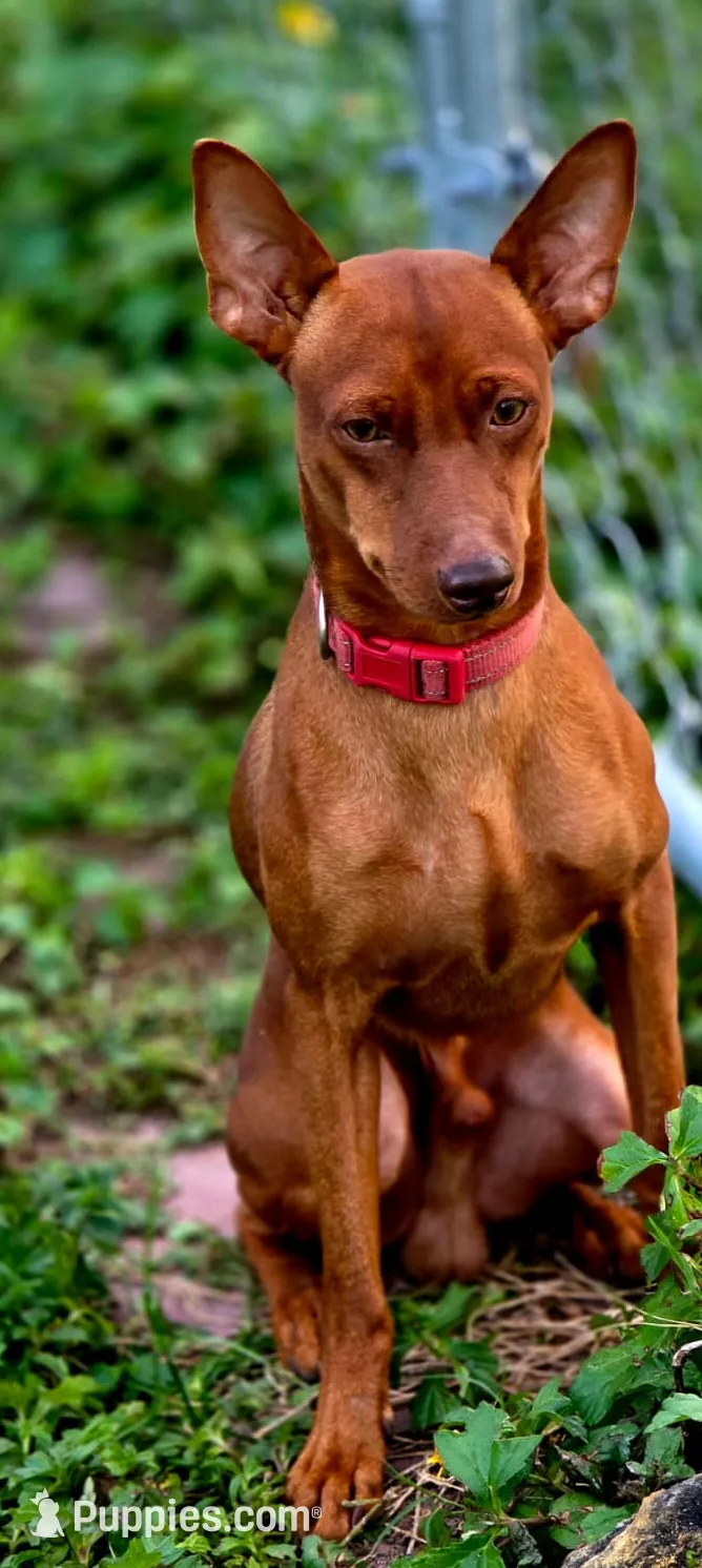 processed/ed0713e5-d966-4871-820d-2bd851dac6af/listing/a346dad9-a531-417e-a6ee-95f2fae8dc9e/37a87e32-5717-45f6-87d5-9dd89f92bef1