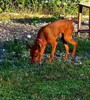 processed/ed0713e5-d966-4871-820d-2bd851dac6af/listing/a346dad9-a531-417e-a6ee-95f2fae8dc9e/a9d36236-2d19-4cdc-9220-46cdef1c028a