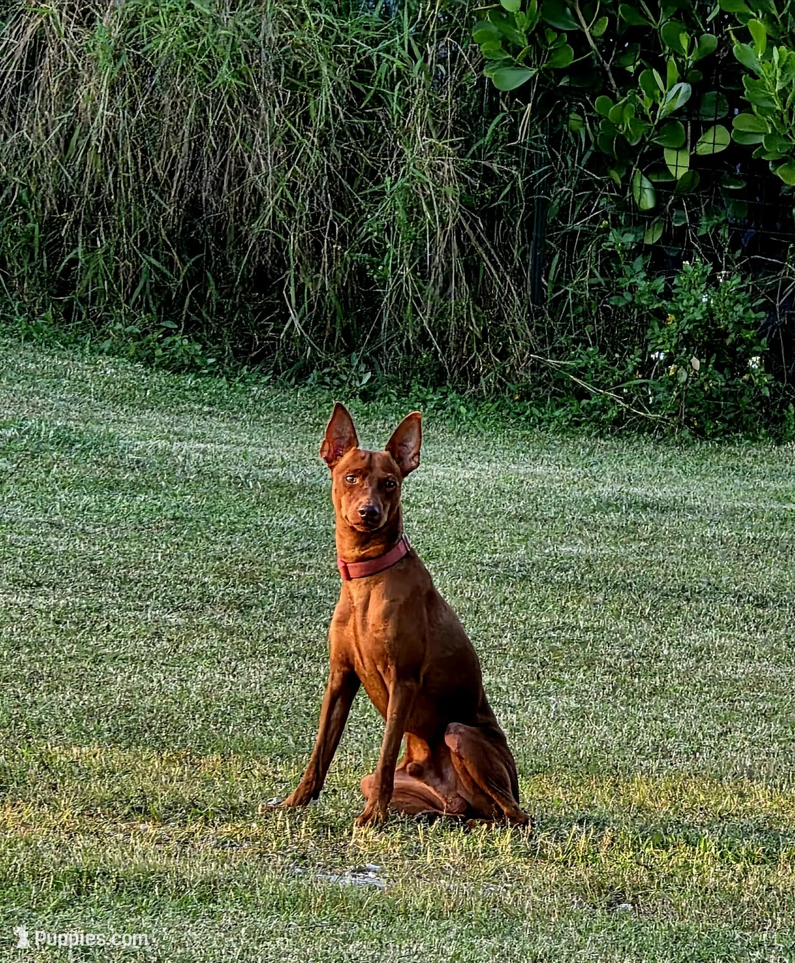 processed/ed0713e5-d966-4871-820d-2bd851dac6af/listing/a346dad9-a531-417e-a6ee-95f2fae8dc9e/d5dda97e-4513-4e25-8445-aa5da59cb021