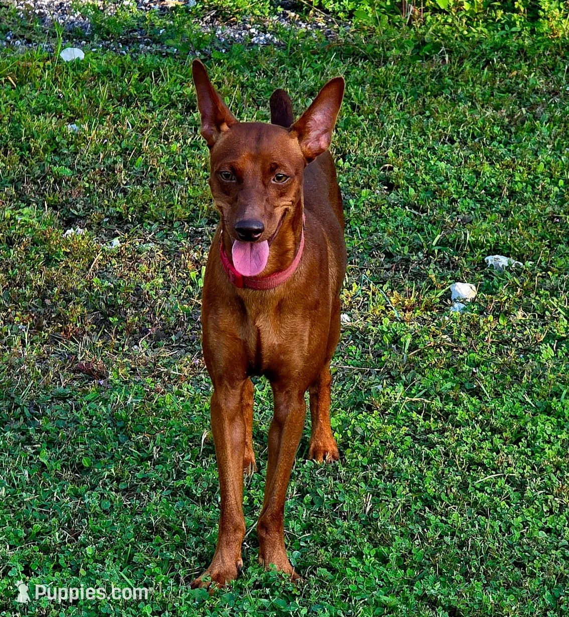 processed/ed0713e5-d966-4871-820d-2bd851dac6af/listing/a346dad9-a531-417e-a6ee-95f2fae8dc9e/e805d69d-ac5f-4ec3-90b4-fc0cce8302c5