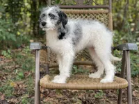 processed/ed1c89d7-5a30-44b9-b2a5-22183301491d/listing/ef061d0f-fa3d-4336-9af3-54c5808435a2/ee35d700-2e9e-42d7-b388-fe3bc9057f36