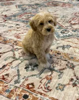 processed/ed2810d7-c3bb-4b83-b703-74d64e66af92/listing/0b803716-cd06-4304-9f07-9a85894d5609/6419c2d5-19d7-415e-bf7c-0eb0cb288164