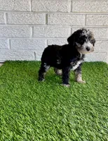 processed/ed2810d7-c3bb-4b83-b703-74d64e66af92/listing/6dd5e7ac-9e02-4471-82a8-1a0ece25cb4c/7e399435-0b1f-42ce-bf3a-82eef6dced67