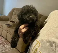 processed/ed2810d7-c3bb-4b83-b703-74d64e66af92/listing/d21bfa1d-1217-44e9-b976-48b2c6092082/15645ac4-9f46-4923-b80d-dff90cc0f59a