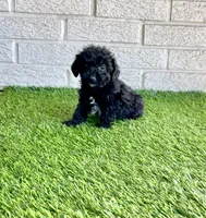 processed/ed2810d7-c3bb-4b83-b703-74d64e66af92/listing/d21bfa1d-1217-44e9-b976-48b2c6092082/ecc3aed4-3386-4354-9f4e-63f3ea3b7584