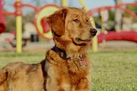 processed/ed3d4b80-4739-403f-9f45-5bcf7f93bc17/facility/1d198e5b-f207-44b1-b122-81d96ff701bc