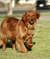 processed/ed3d4b80-4739-403f-9f45-5bcf7f93bc17/facility/2f5b76d6-3d1b-4844-b421-5b469ba6e159