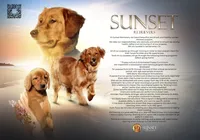 processed/ed3d4b80-4739-403f-9f45-5bcf7f93bc17/facility/4b11a4d7-e16c-497e-a4b6-5dee5baf97f0