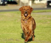 processed/ed3d4b80-4739-403f-9f45-5bcf7f93bc17/facility/90f138e4-bb9d-483a-b321-631bbb1201e8