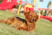 processed/ed3d4b80-4739-403f-9f45-5bcf7f93bc17/facility/b2c36d30-56d4-461b-bf3a-fa57d55be11f