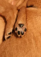 processed/ed3d4b80-4739-403f-9f45-5bcf7f93bc17/facility/d91ade7c-08d8-4c61-bd11-fee09641458d