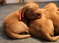 processed/ed3d4b80-4739-403f-9f45-5bcf7f93bc17/facility/f90ab2ac-dc40-48fb-81d3-0f02fea7d411