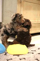 processed/ed3d4b80-4739-403f-9f45-5bcf7f93bc17/listing/4d696980-f4da-4a52-bdbd-1537675c9a37/5051dacb-af62-446d-a78f-fc4332621532