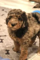 processed/ed3d4b80-4739-403f-9f45-5bcf7f93bc17/listing/4d696980-f4da-4a52-bdbd-1537675c9a37/77f339cf-0b10-41c4-b709-68660fb9b086