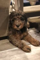 processed/ed3d4b80-4739-403f-9f45-5bcf7f93bc17/listing/4d696980-f4da-4a52-bdbd-1537675c9a37/7fec615b-833a-4ab7-b73a-a2f7c3ad82a1