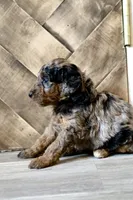 processed/ed3d4b80-4739-403f-9f45-5bcf7f93bc17/listing/4d696980-f4da-4a52-bdbd-1537675c9a37/e25bb714-0483-4243-ab76-0188aa4fe7ad