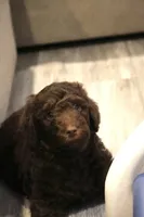 processed/ed3d4b80-4739-403f-9f45-5bcf7f93bc17/listing/51b63e03-4184-4fe3-ab83-fc559d263280/135ebf2d-1b54-4a23-a2f9-10e211181f98