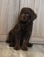 processed/ed3d4b80-4739-403f-9f45-5bcf7f93bc17/listing/51b63e03-4184-4fe3-ab83-fc559d263280/9b277fa3-dd8b-4a8f-92d0-574a78a14e85