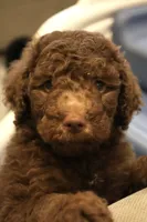 processed/ed3d4b80-4739-403f-9f45-5bcf7f93bc17/listing/51b63e03-4184-4fe3-ab83-fc559d263280/c0fd4163-8548-4ff2-94ca-98a72a7f671d