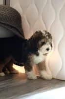 processed/ed3d4b80-4739-403f-9f45-5bcf7f93bc17/listing/56e20aff-0490-42b1-84ba-686c7a67d454/03027f22-1e4b-4a89-8ba3-a3b6d9eb9934