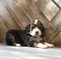 processed/ed3d4b80-4739-403f-9f45-5bcf7f93bc17/listing/56e20aff-0490-42b1-84ba-686c7a67d454/13259d27-87f0-47c7-a6e5-235ee56ef333