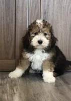 processed/ed3d4b80-4739-403f-9f45-5bcf7f93bc17/listing/56e20aff-0490-42b1-84ba-686c7a67d454/1c41f4c9-dc8d-46cc-8cfb-e554e6e59335