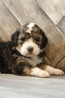 processed/ed3d4b80-4739-403f-9f45-5bcf7f93bc17/listing/56e20aff-0490-42b1-84ba-686c7a67d454/1cf7ee3a-a137-4c13-bea7-7cf2645c2066