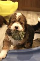 processed/ed3d4b80-4739-403f-9f45-5bcf7f93bc17/listing/56e20aff-0490-42b1-84ba-686c7a67d454/9b6c7d3c-4a63-45a2-ba20-384c79a1190e