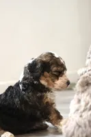 processed/ed3d4b80-4739-403f-9f45-5bcf7f93bc17/listing/56e20aff-0490-42b1-84ba-686c7a67d454/cbdd1d4a-5b81-4eed-8836-f9849ccef088