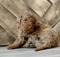 processed/ed3d4b80-4739-403f-9f45-5bcf7f93bc17/listing/834570e0-f02e-49cf-b69e-05cb4c86645e/2924847f-4681-41f5-851d-f1400adddef7