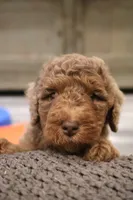 processed/ed3d4b80-4739-403f-9f45-5bcf7f93bc17/listing/834570e0-f02e-49cf-b69e-05cb4c86645e/31eac0c2-d5b3-4c9d-92f4-e4deddfbcc8d