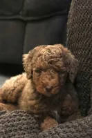 processed/ed3d4b80-4739-403f-9f45-5bcf7f93bc17/listing/834570e0-f02e-49cf-b69e-05cb4c86645e/42e7d2a1-a249-4ba3-aeb5-20f9c340915f