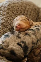 processed/ed3d4b80-4739-403f-9f45-5bcf7f93bc17/listing/834570e0-f02e-49cf-b69e-05cb4c86645e/443e65ba-627a-4b01-9f6b-a81255c05b06