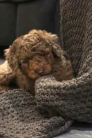 processed/ed3d4b80-4739-403f-9f45-5bcf7f93bc17/listing/834570e0-f02e-49cf-b69e-05cb4c86645e/75afdf5c-08a8-4d1e-bf91-65d051f5a0ce