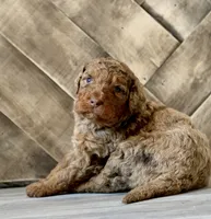 processed/ed3d4b80-4739-403f-9f45-5bcf7f93bc17/listing/834570e0-f02e-49cf-b69e-05cb4c86645e/938965b4-14ac-4135-aabe-237f1082257d