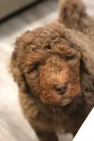 processed/ed3d4b80-4739-403f-9f45-5bcf7f93bc17/listing/834570e0-f02e-49cf-b69e-05cb4c86645e/b0aa2d21-1ea6-4a9e-a57a-4cb42807d5c4