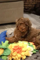 processed/ed3d4b80-4739-403f-9f45-5bcf7f93bc17/listing/834570e0-f02e-49cf-b69e-05cb4c86645e/c454bb11-7090-400a-88f9-32c590b109e5