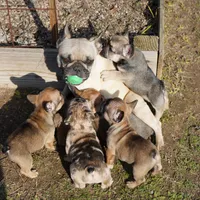 processed/ed3f2498-683d-4b59-aeab-882db07af504/facility/37e50f6f-fbcb-4cc4-8ae7-28dad385f50e