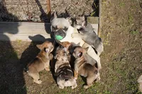 processed/ed3f2498-683d-4b59-aeab-882db07af504/facility/37e50f6f-fbcb-4cc4-8ae7-28dad385f50e