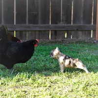 processed/ed3f2498-683d-4b59-aeab-882db07af504/facility/459e8ee9-0125-408f-aa38-ce622f0c716c